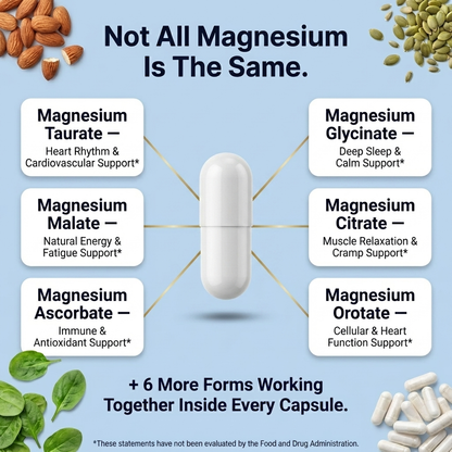 12-in-1 Magnesium Complex — Feel Like Yourself Again