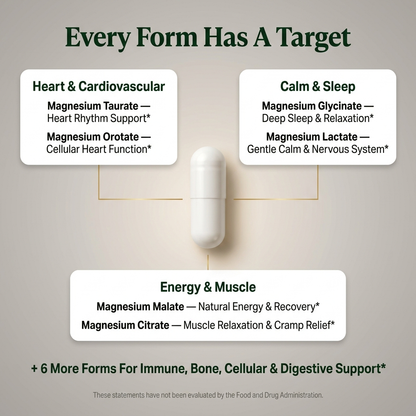 12-in-1 Magnesium Complex — Feel Like Yourself Again