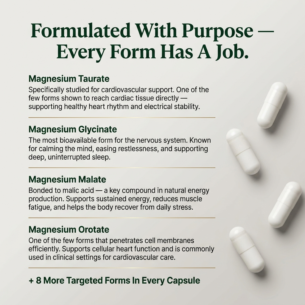 12-in-1 Magnesium Complex — Feel Like Yourself Again