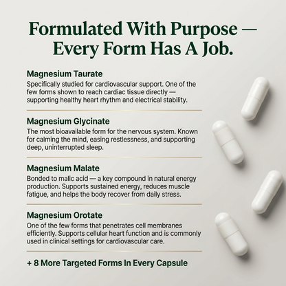 12-in-1 Magnesium Complex — Feel Like Yourself Again